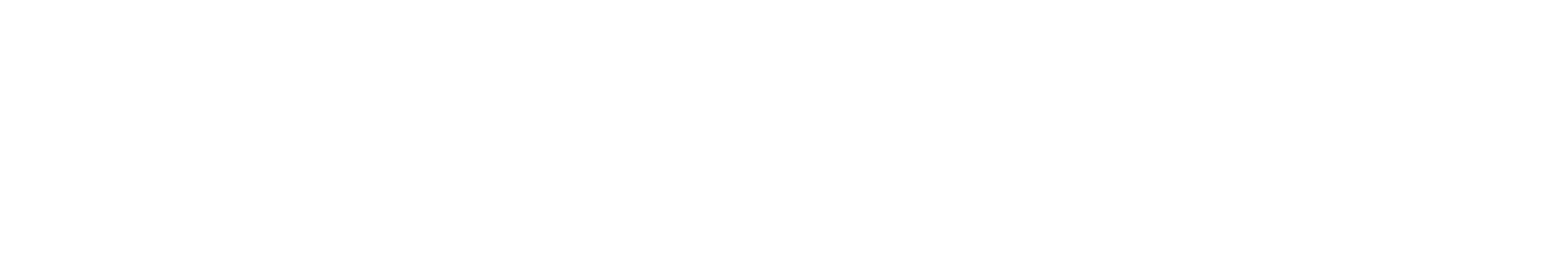 Ultus Inc.